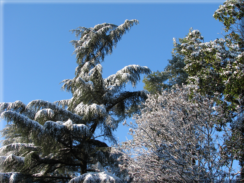 foto Parco Sebellin in Inverno